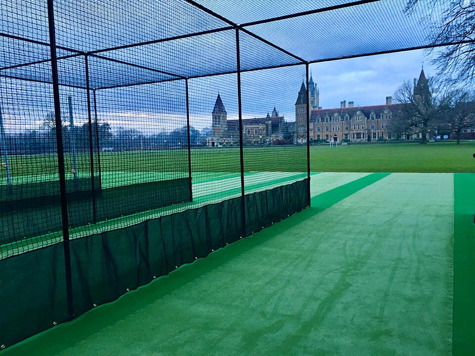 Cricket