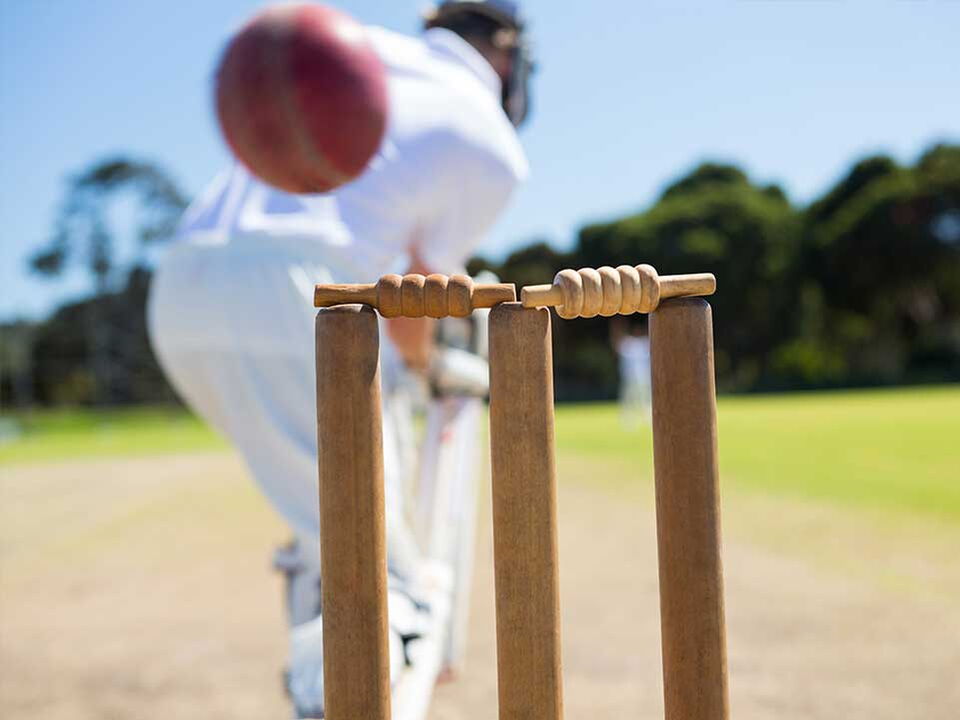 Cricket